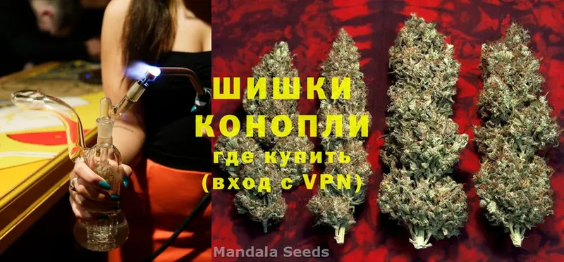 хочу   Калтан  Шишки марихуана OG Kush 